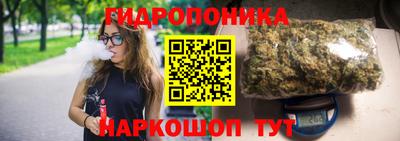 дурь Бердск